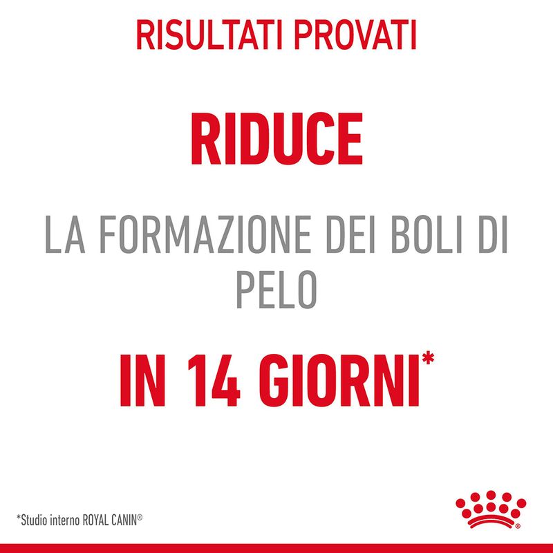 Royal Canin Hairball Care 400g - Crocchette per Gatti Royal Canin Hairball Care 400g - Crocchette per Gatti